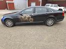 Thumbnail '3' of Holden Statesman V6