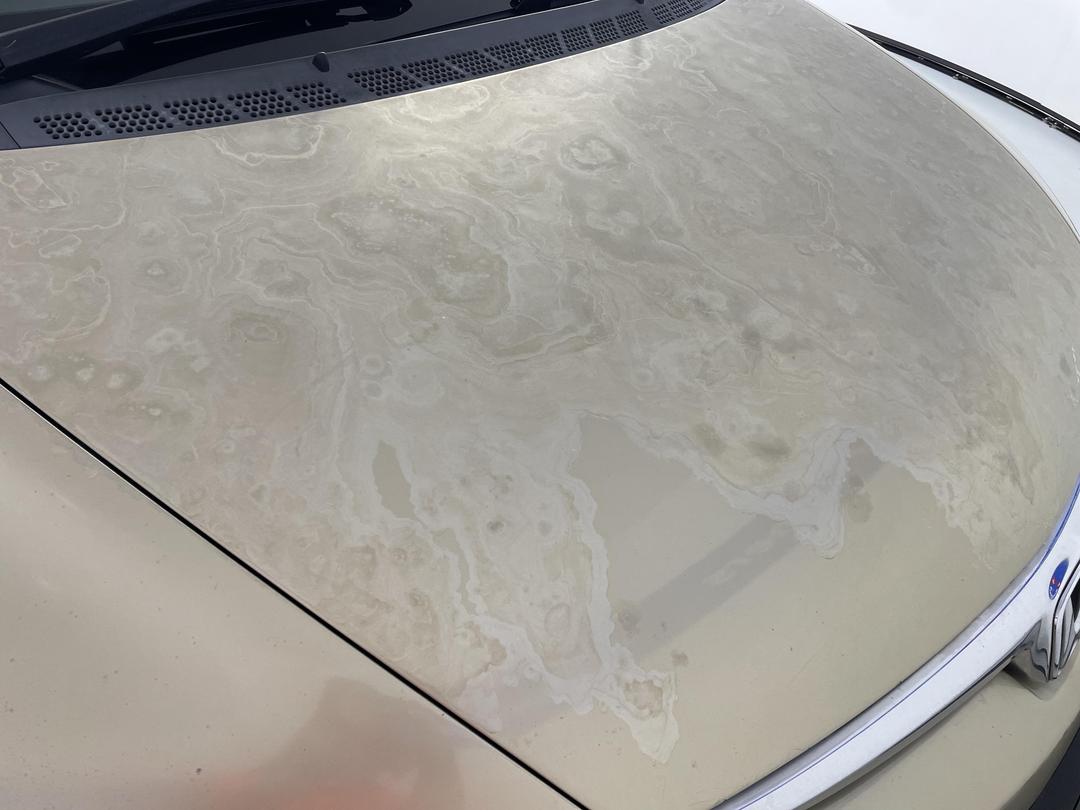 Photo '28' of Honda Civic