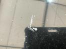 Thumbnail '20' of Honda CRV