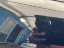 Thumbnail '17' of Honda CRV