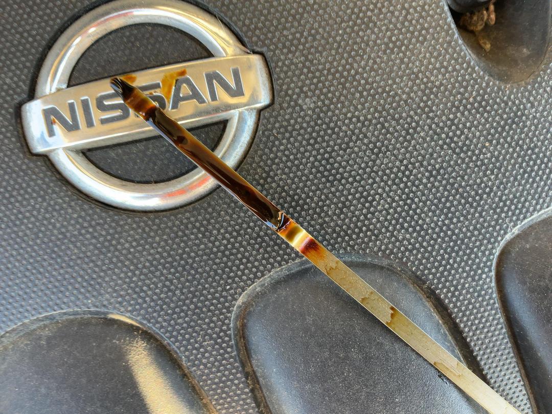 Photo '11' of Nissan Dualis