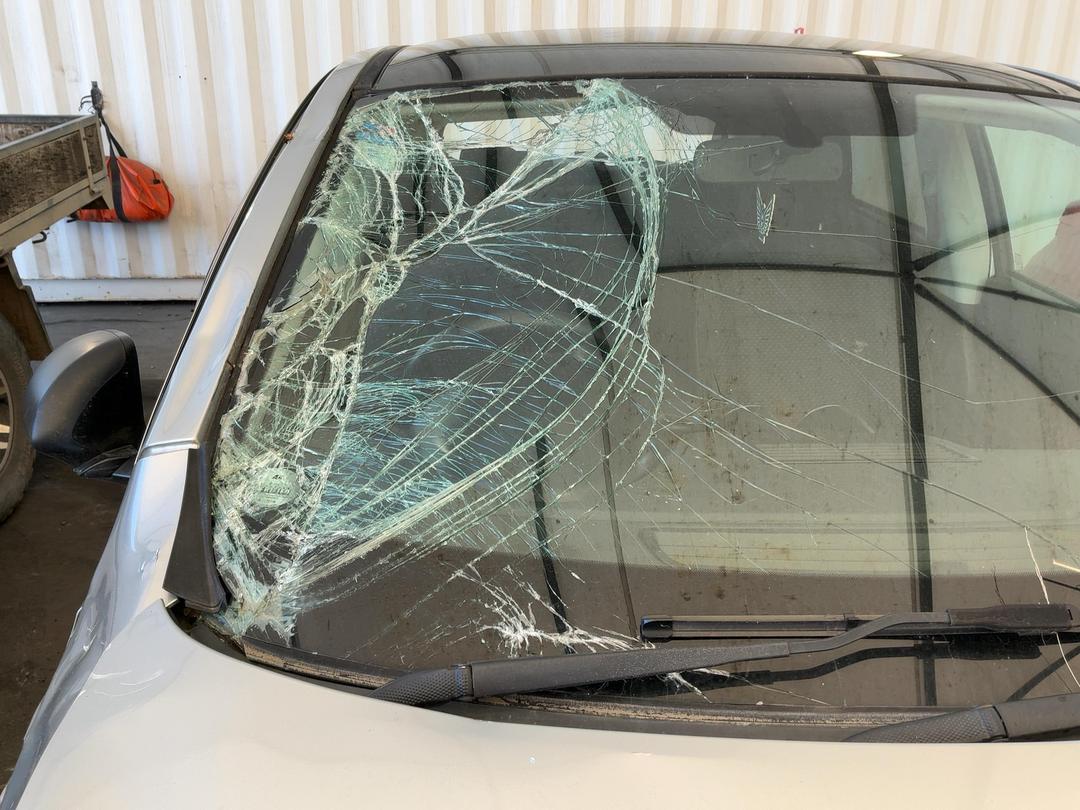 Photo '4' of Nissan Dualis