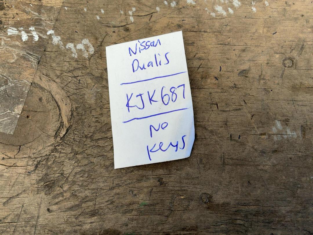 Photo '23' of Nissan Dualis