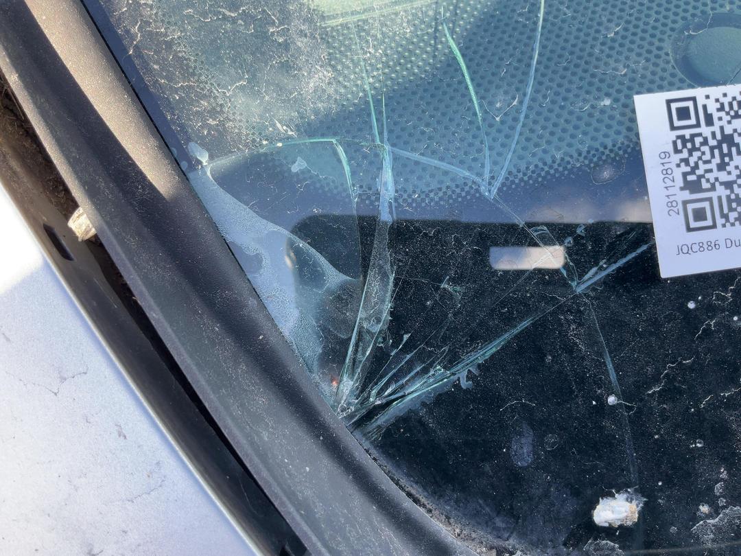 Photo '14' of Nissan Dualis