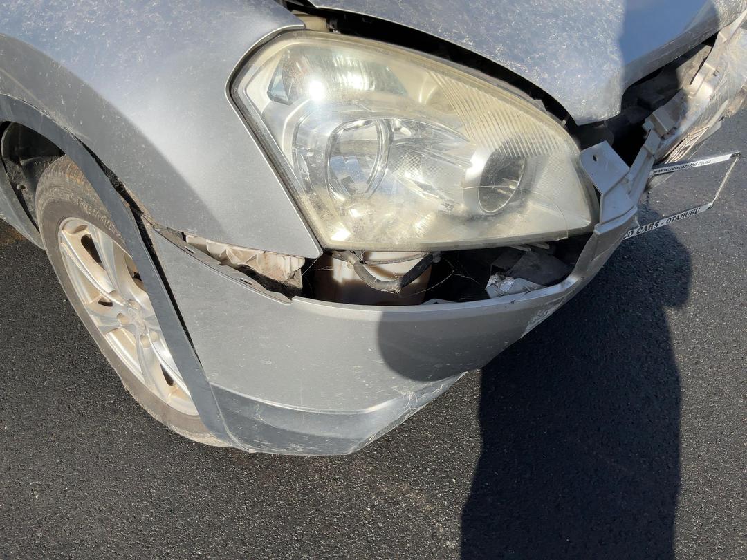 Photo '15' of Nissan Dualis