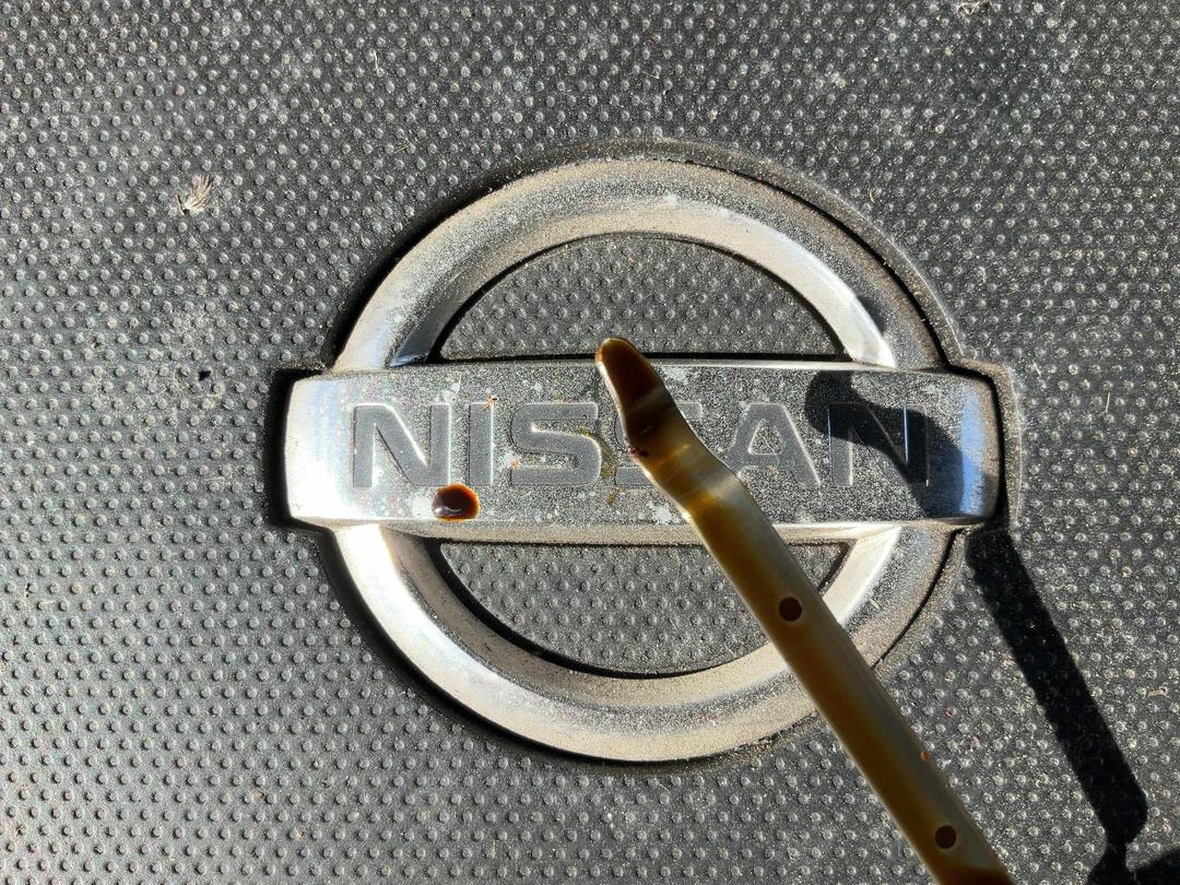 Photo '24' of Nissan Dualis