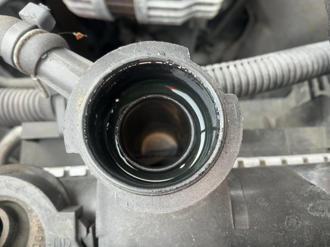 Photo '19' of Nissan Presage Autech Photo '19' of Nissan Presage Autech
