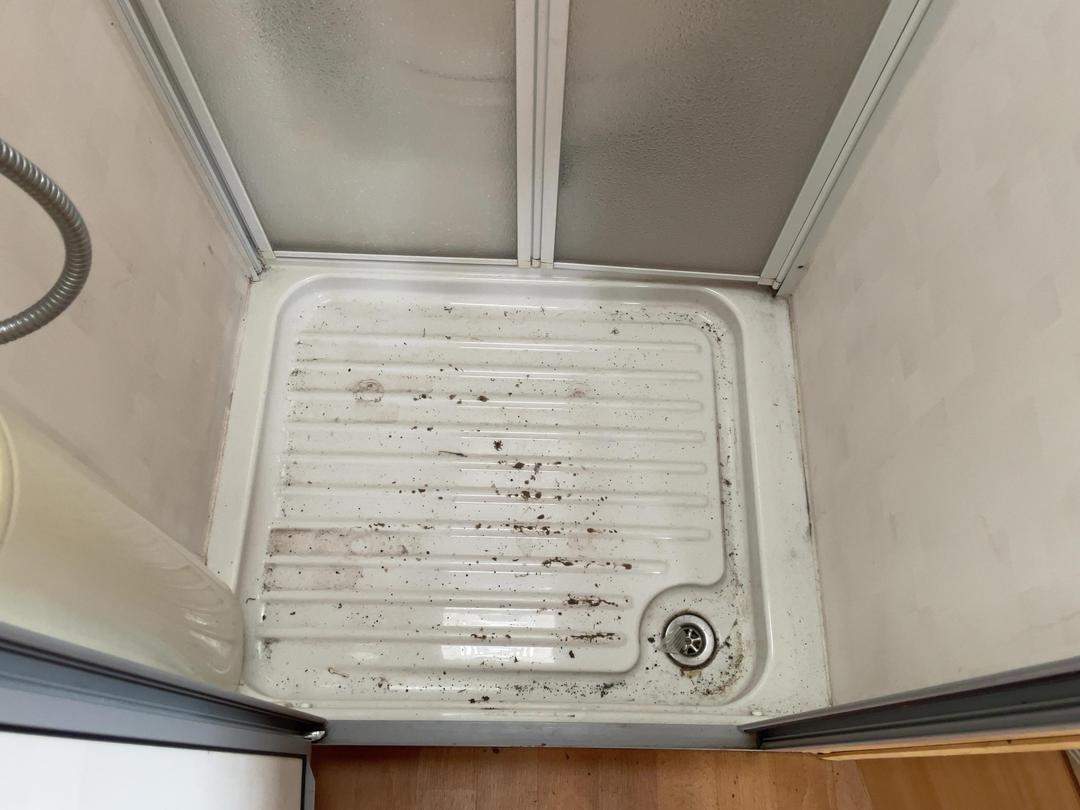 Photo '18' of STERLING ECCLES JEWEL Caravan - Single Photo '18' of STERLING ECCLES JEWEL Caravan - Single