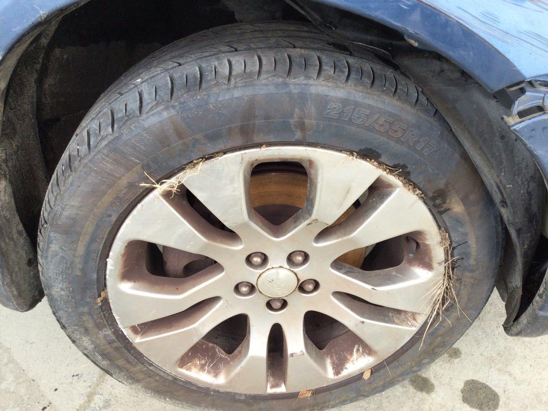 Photo '9' of Subaru Legacy Photo '9' of Subaru Legacy