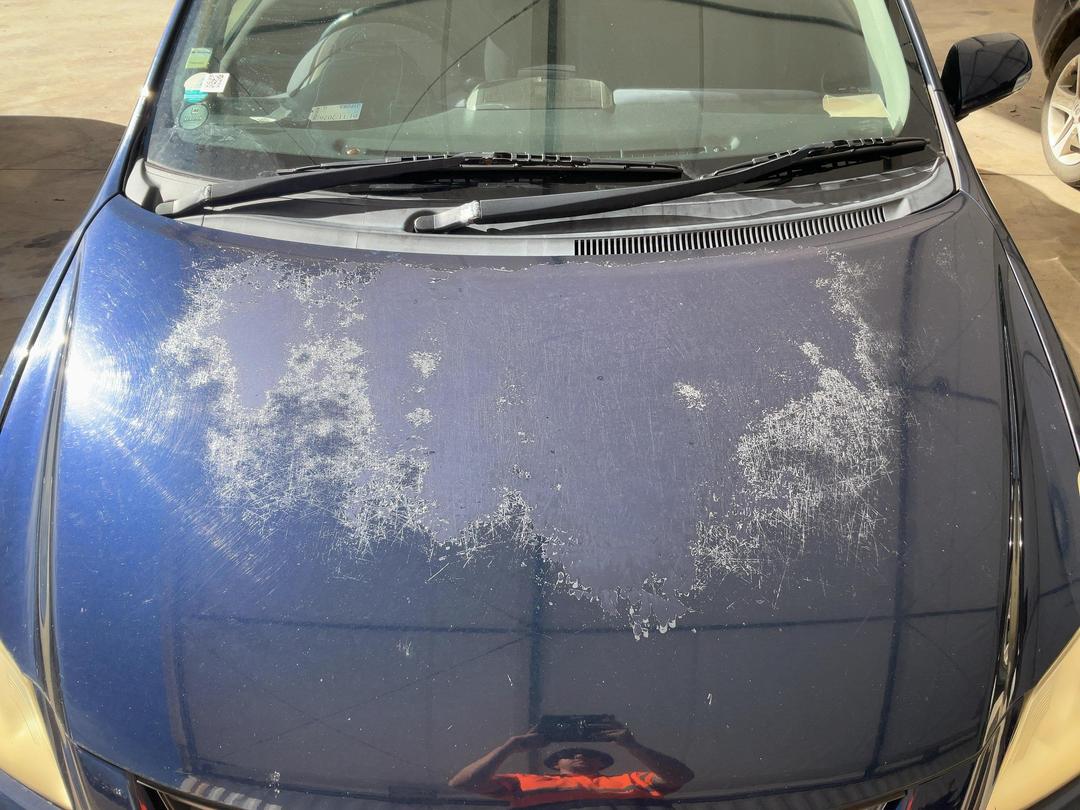 Photo '19' of Toyota Blade