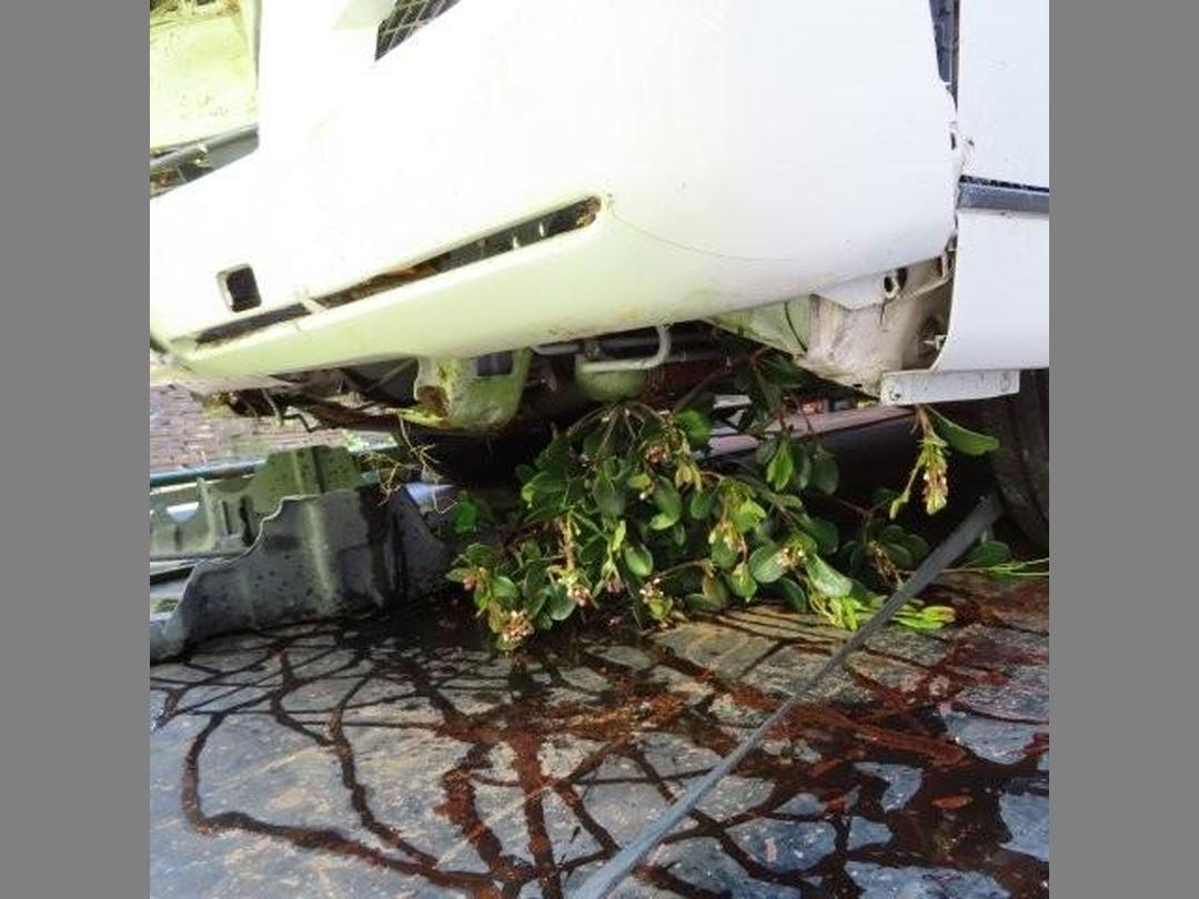 Photo '5' of Toyota Hiace