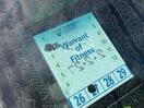Thumbnail '20' of Toyota Yaris
