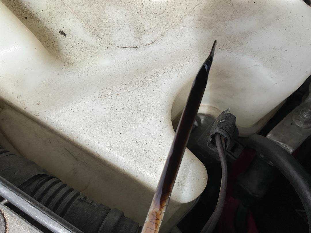 Photo '13' of Dodge Nitro R/T 4X4 3.7L V6