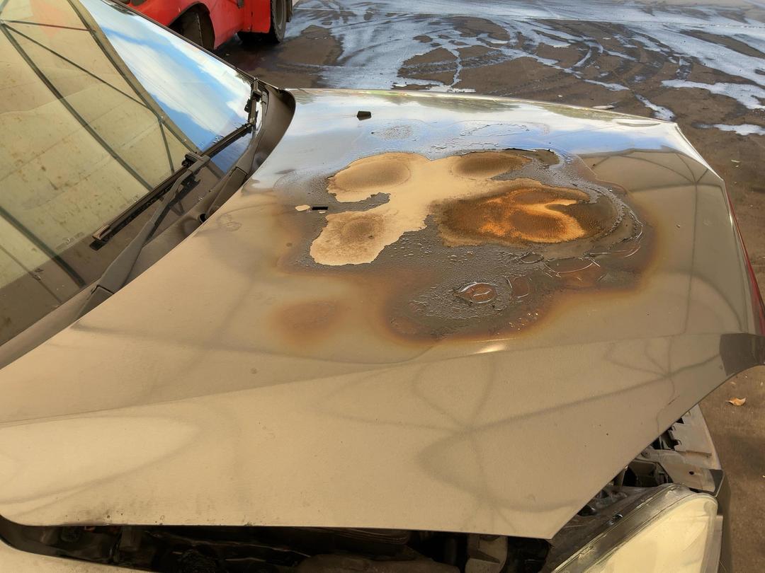 Photo '4' of Ford Focus