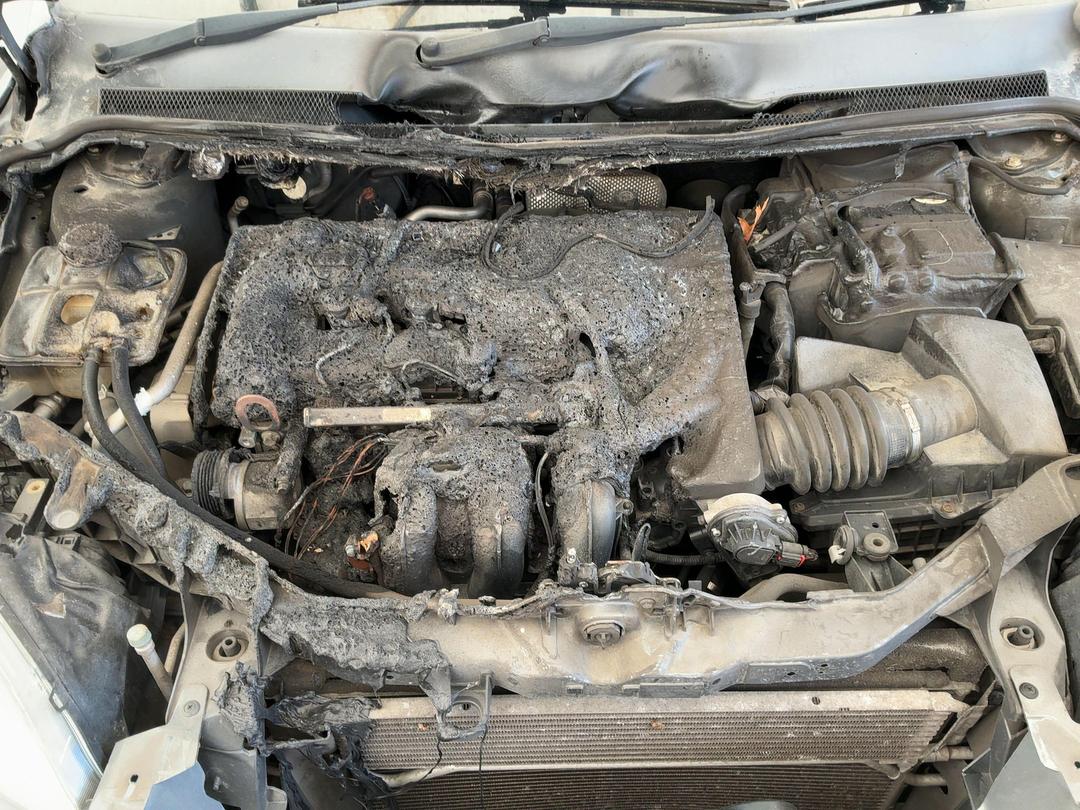 Photo '11' of Ford Focus