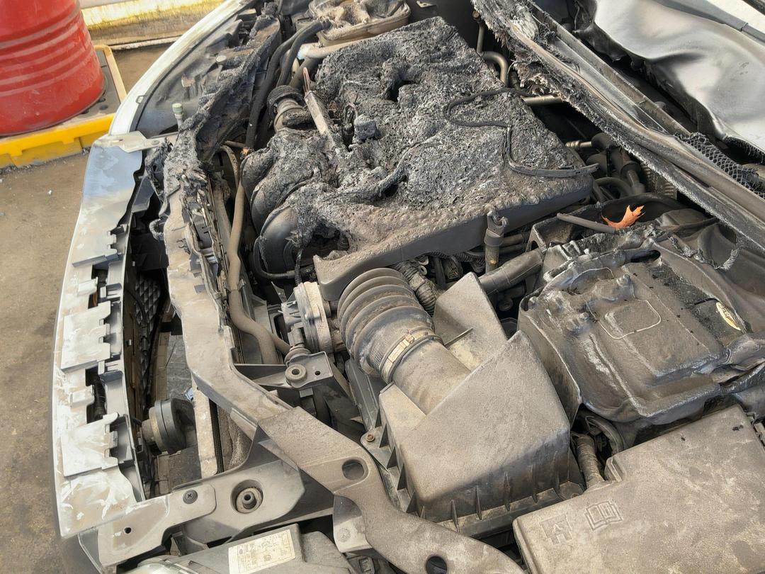 Photo '12' of Ford Focus