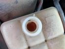 Thumbnail '22' of Ford Focus