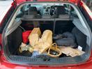 Thumbnail '14' of Ford Focus