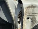 Thumbnail '5' of Ford Ranger TD XL SC C/C
