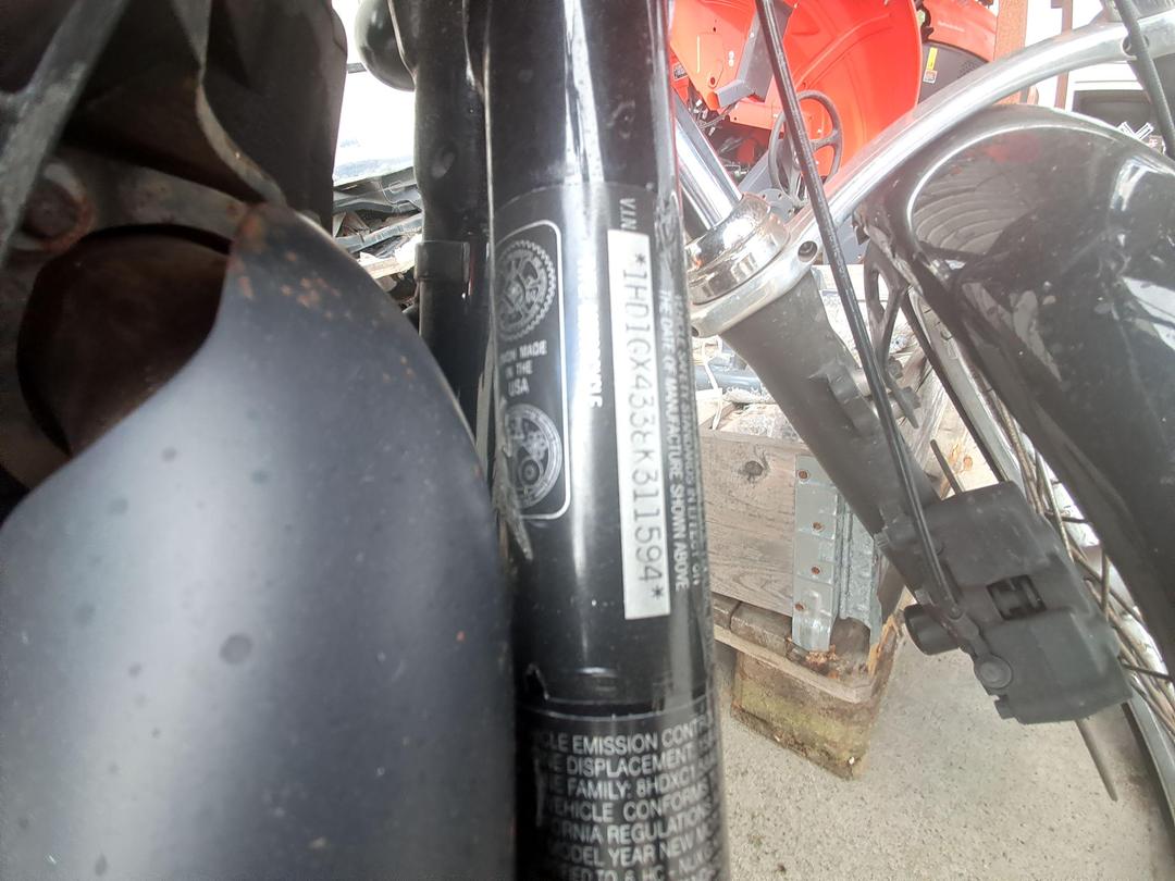 Photo '20' of Harley Davidson FXD Street BOB