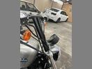 Thumbnail '4' of Harley Davidson Sportster 08 LOW 883