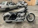 Thumbnail '8' of Harley Davidson Sportster 08 LOW 883