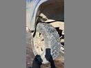 Thumbnail '13' of Holden Colorado LT CRW PU DSL
