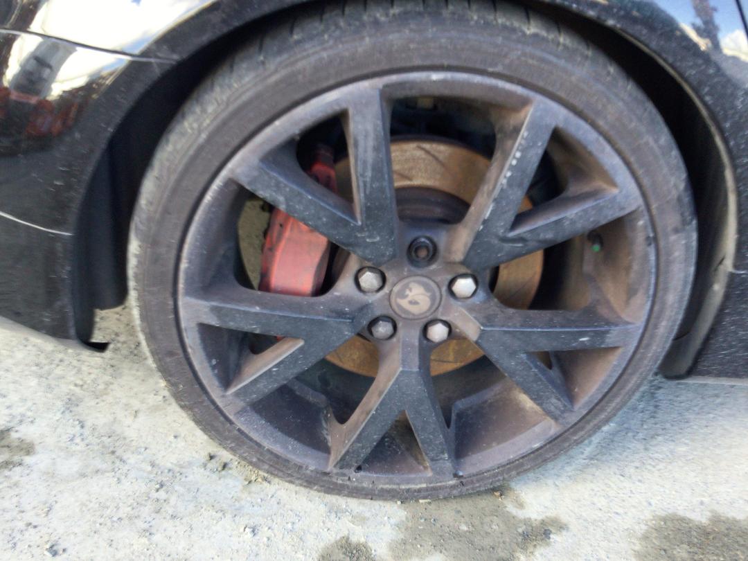 Photo '24' of Holden Commodore GTS