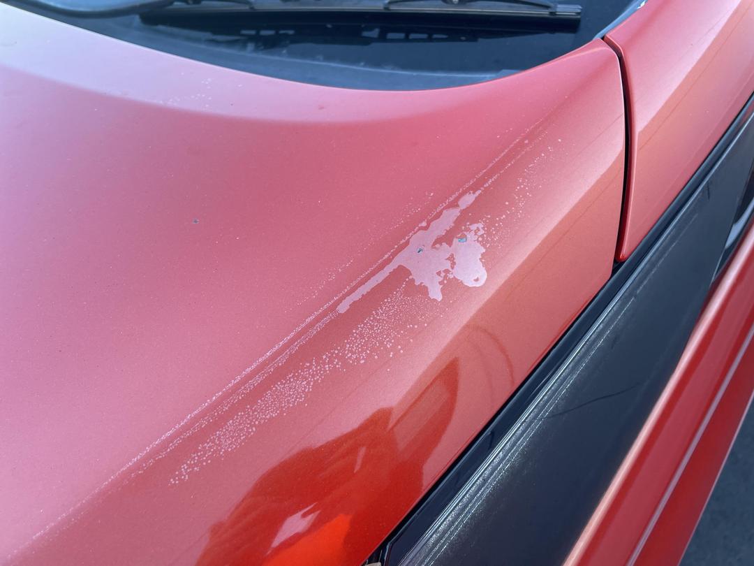 Photo '24' of Mazda Biante