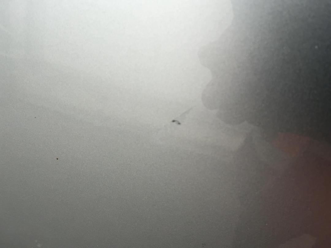 Photo '9' of Mazda MPV