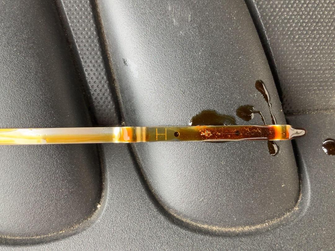 Photo '14' of Nissan Dualis 20S