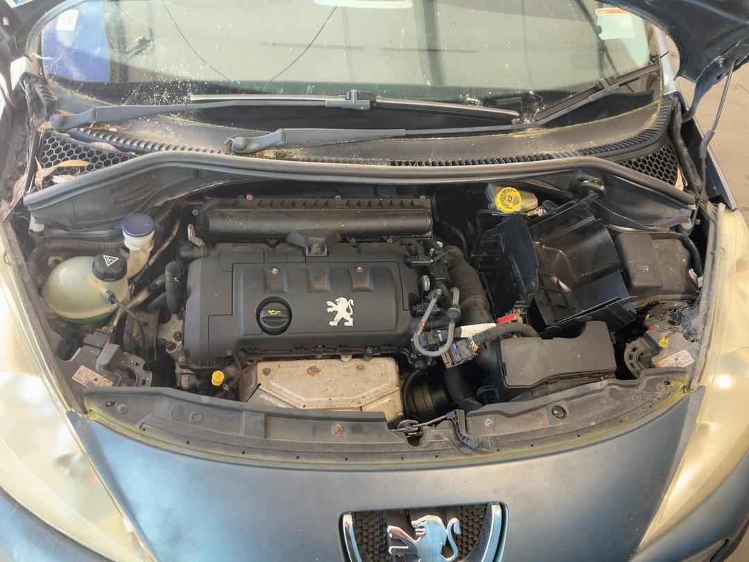 Photo '19' of Peugeot 207 XS