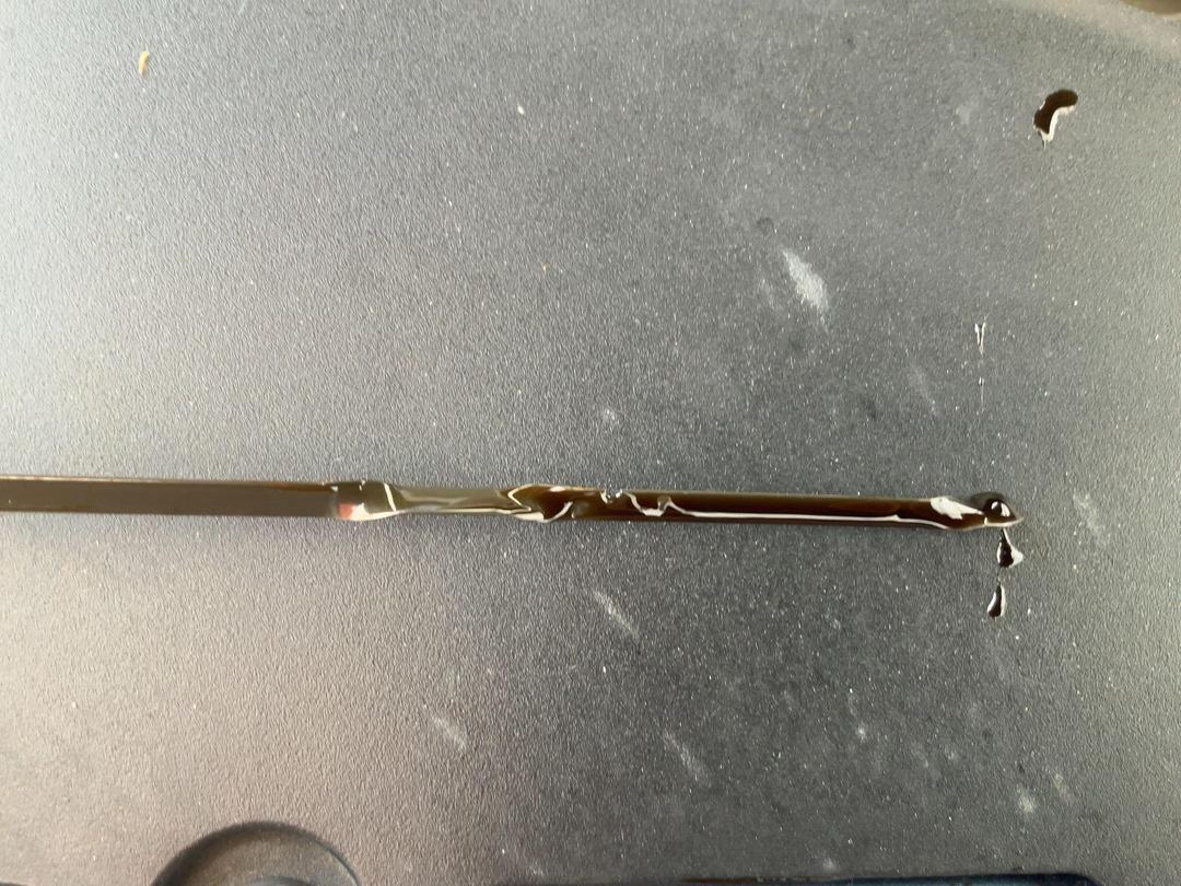 Photo '14' of Subaru Forester