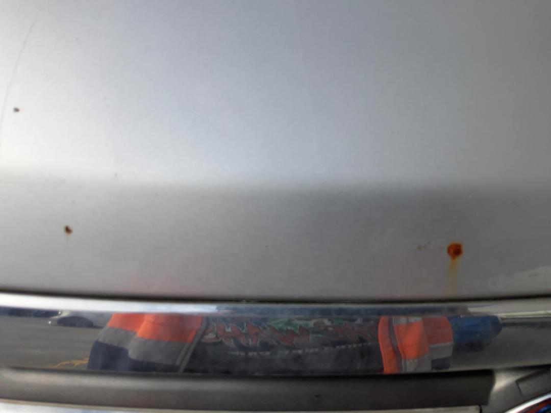 Photo '20' of Toyota Vanguard