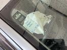 Thumbnail '24' of Toyota Vitz