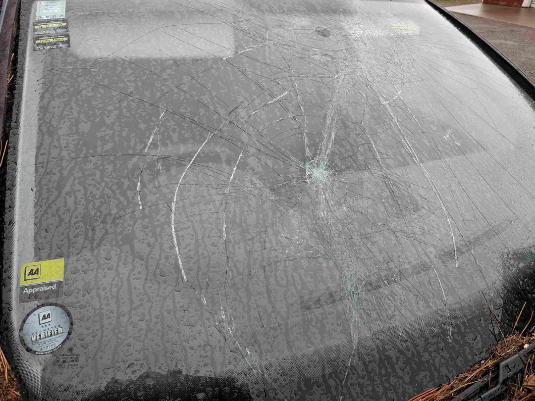 Photo '15' of Volkswagen Golf TSI