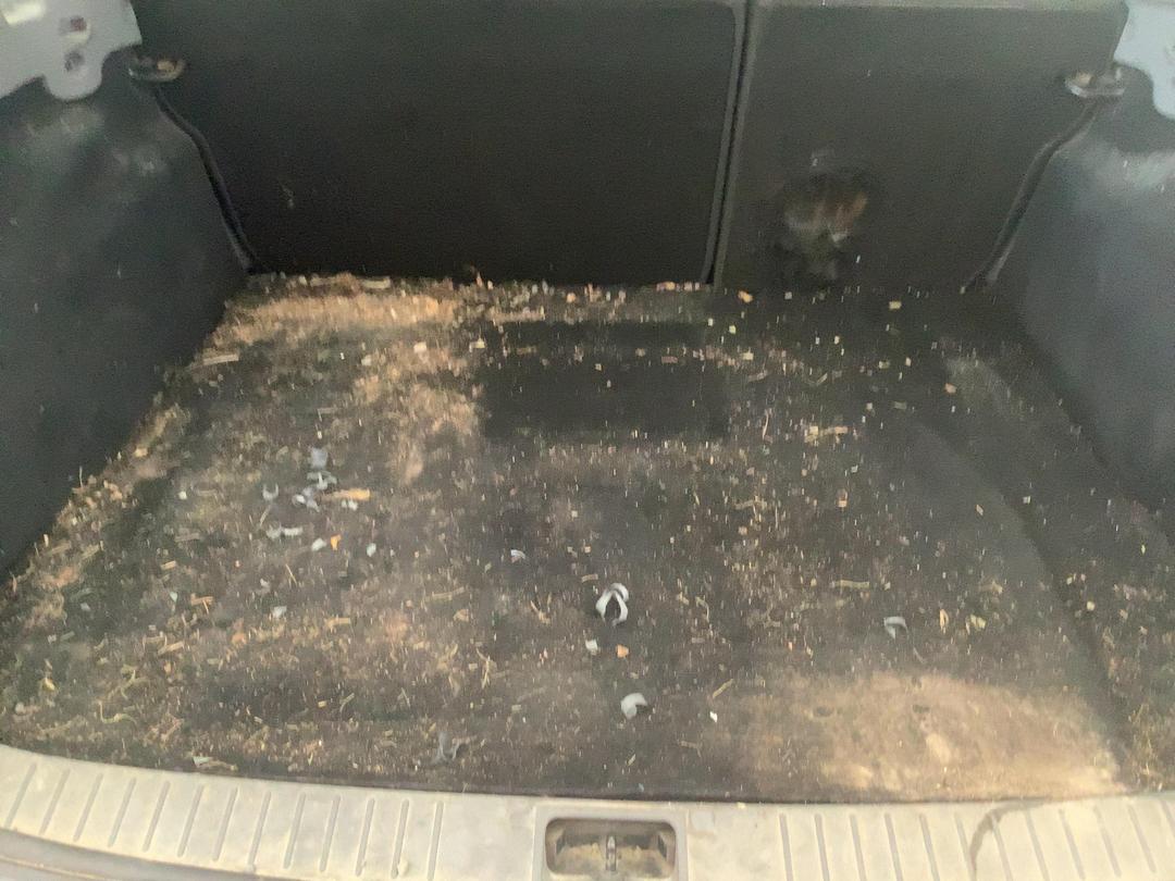 Photo '7' of Ford Focus TD