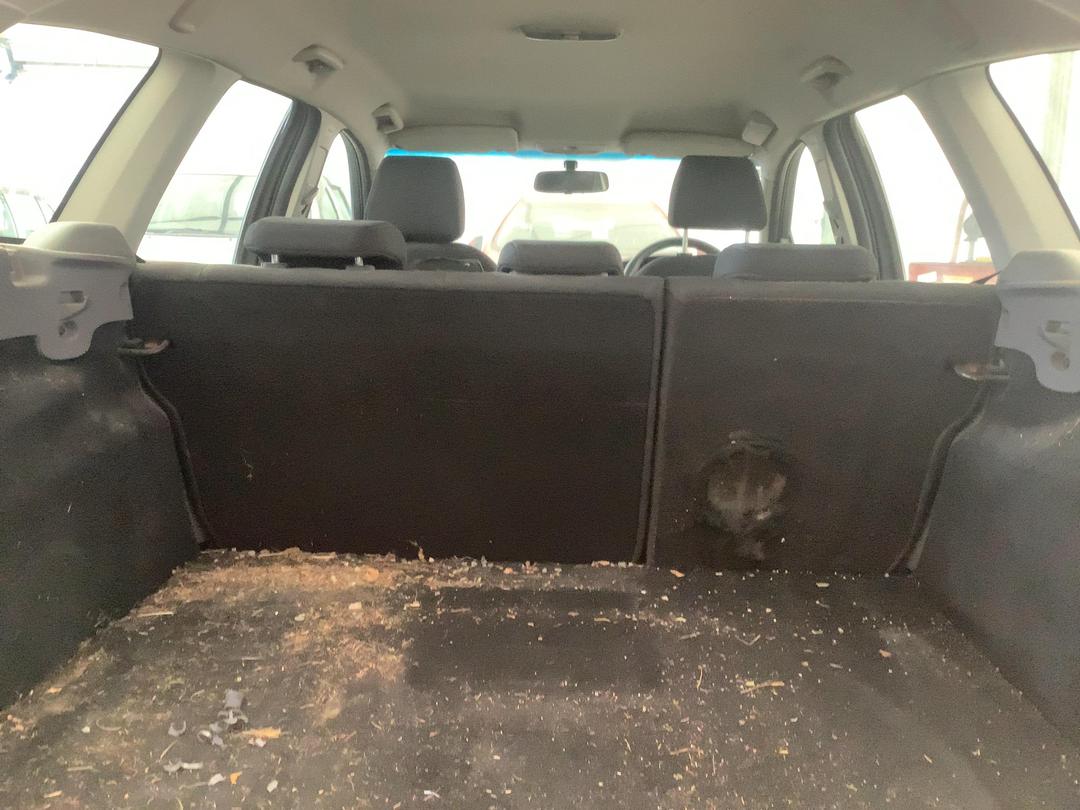 Photo '8' of Ford Focus TD