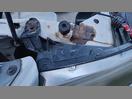 Thumbnail '13' of Ford Ranger TD XL RC W/S
