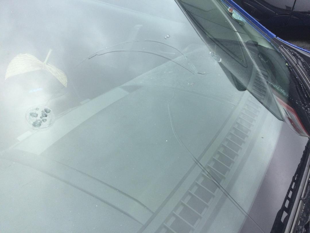 Photo '16' of Mazda Atenza