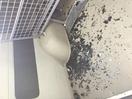 Thumbnail '17' of Mercedes-Benz Sprinter 315 3665 S Mini BUS