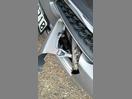 Thumbnail '20' of Nissan March