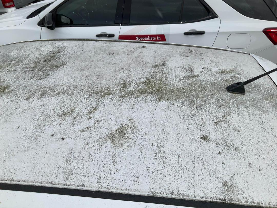 Photo '19' of Nissan Tiida ST