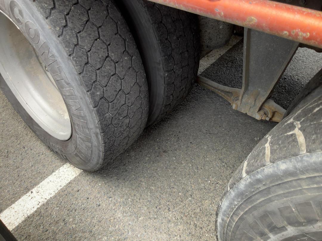 Photo '25' of Volvo FH16 Livestock