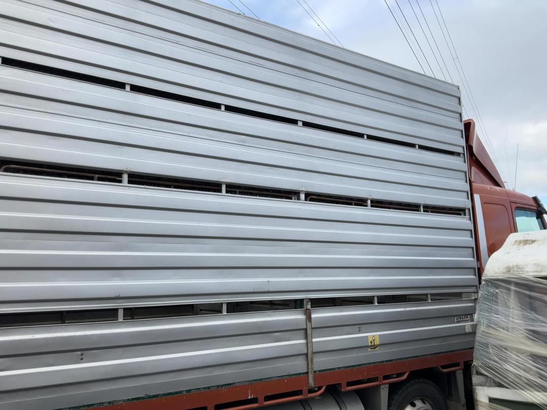 Photo '29' of Volvo FH16 Livestock