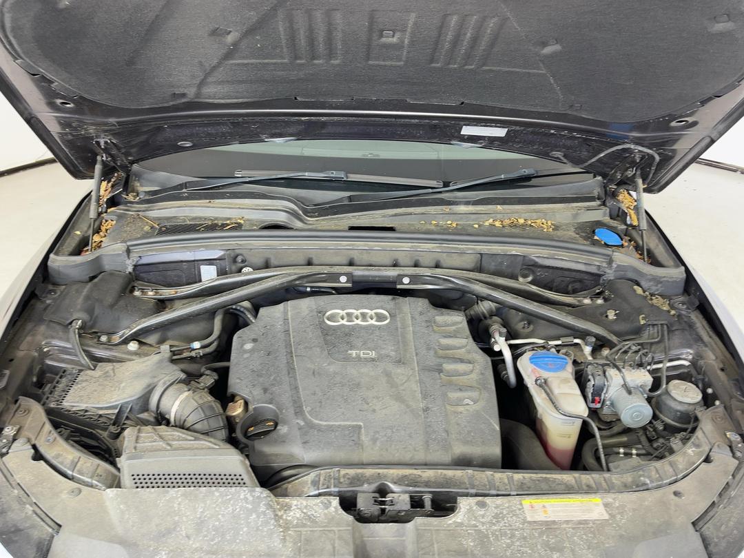 Photo '4' of Audi Q5 TDI Q S Photo '4' of Audi Q5 TDI Q S