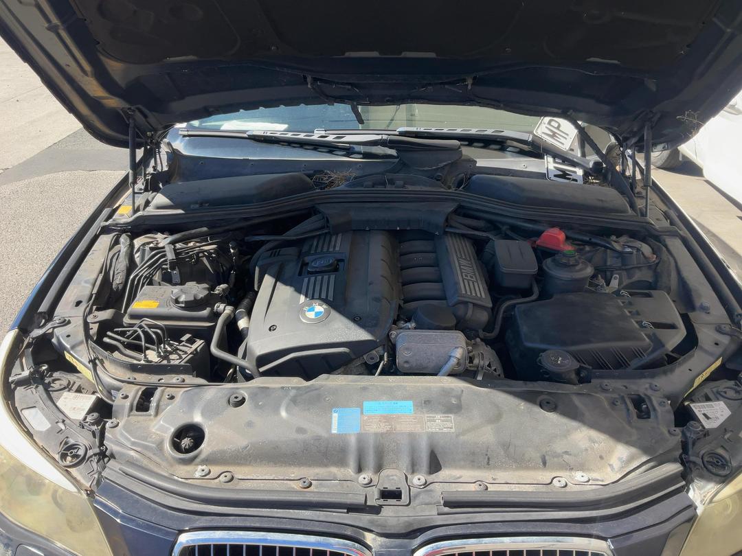 Photo '13' of BMW 525I