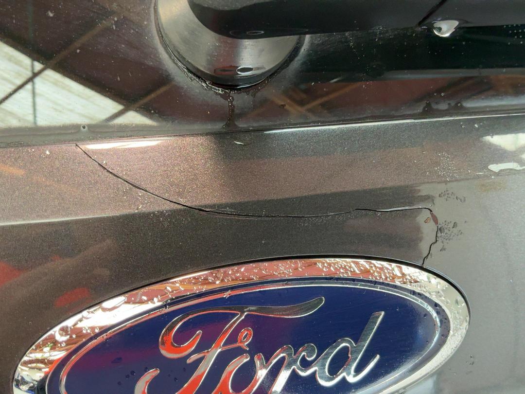 Photo '29' of Ford Territory