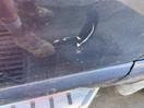 Thumbnail '10' of Ford Territory Ghia