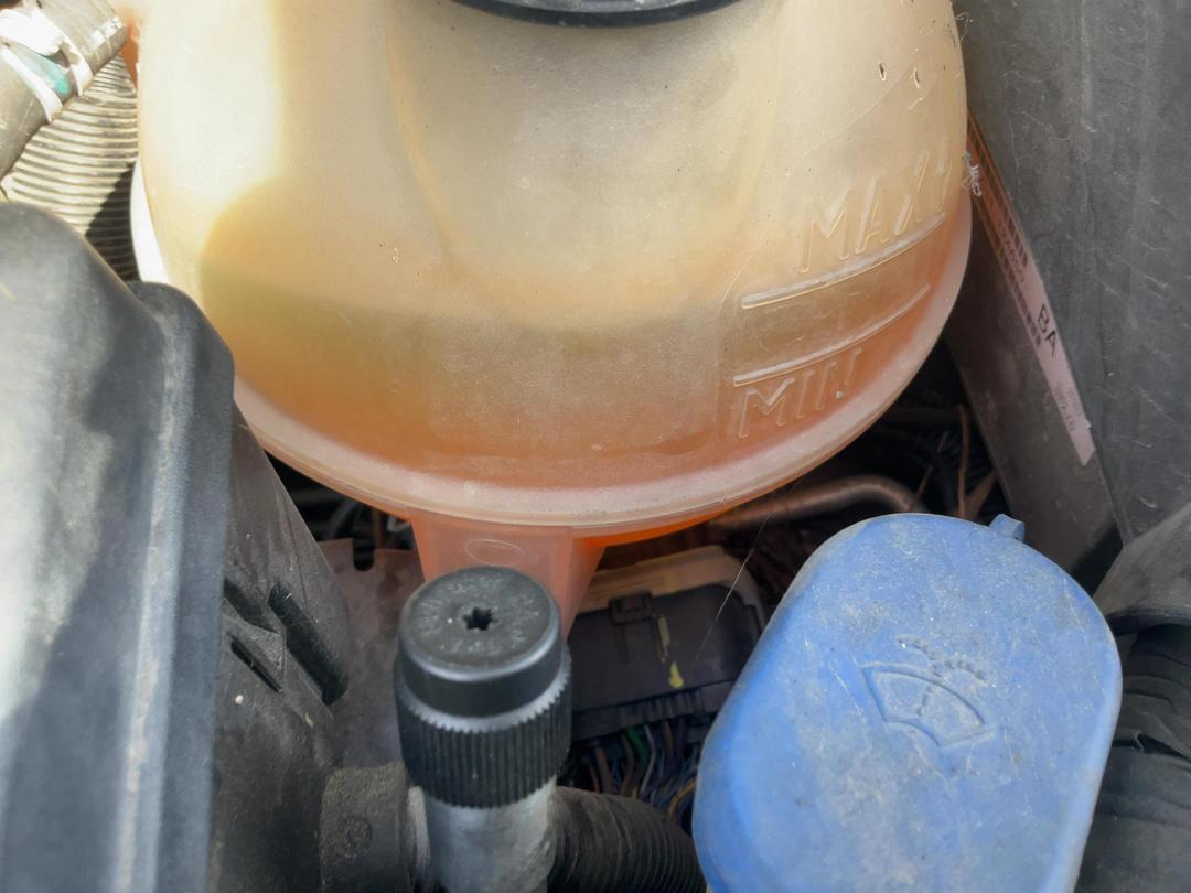 Photo '9' of Ford Transit SWB Mroof